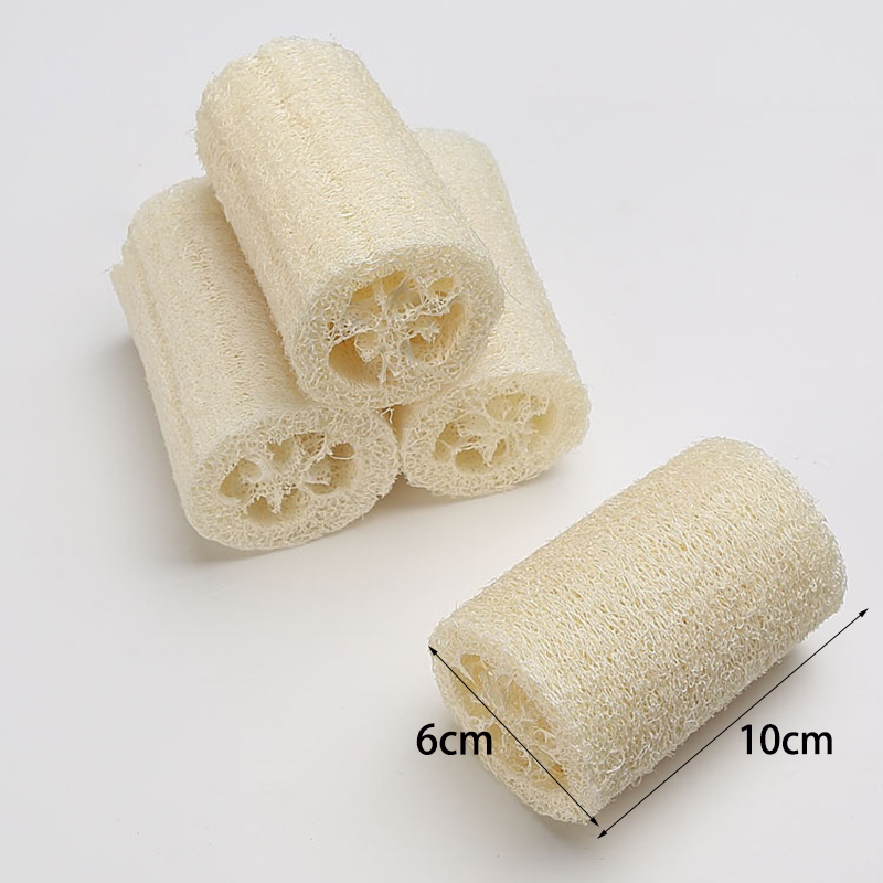 10cm Luffa und Seife Mold Kit  – Soap Making Starter Kit Bewertung und Preis