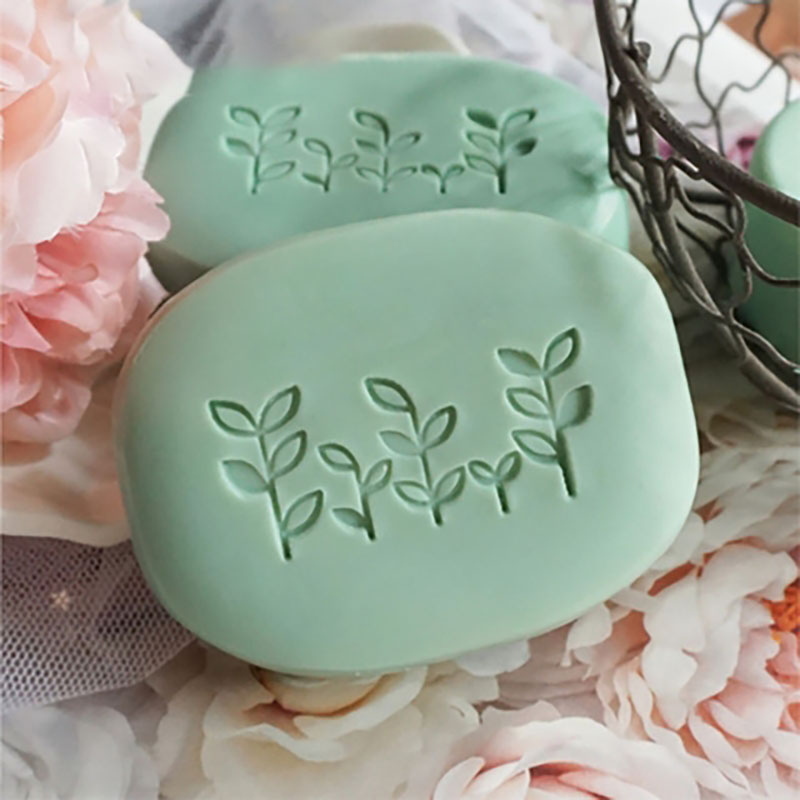 Personalisierte individuelle S – Soap Making Starter Kit Bewertung und Preis